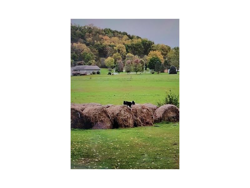 CENTURY 21 Real Estate Property