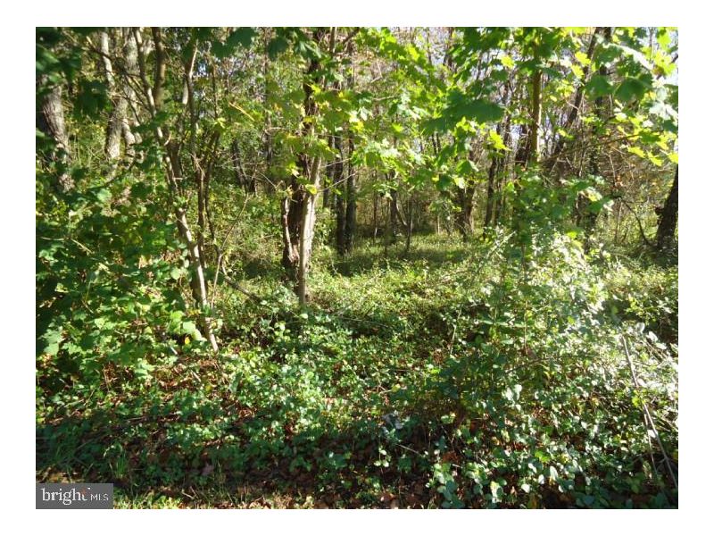 CENTURY 21 Real Estate Property